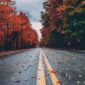 Herfst bladen